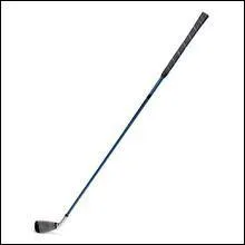 Dans quel sport peut-on retrouver ce club ?