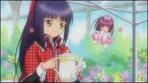 Quel est le chara de Nadeshiko ?