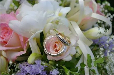 Les maris devront choisir une  plusieurs personnes chacun pour attester de leur union, on les appelle les... .