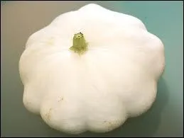 Cette photo reprsente...