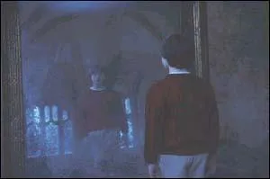 Qu'y a-t-il dans le Miroir du Risd  la fin du film ?