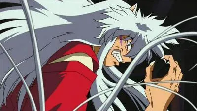 Qui est l'ennemi jur d'Inuyasha ?