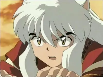 De quoi Koga est-il le chef ?