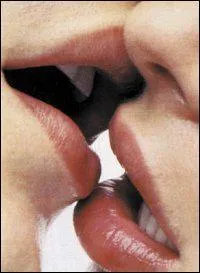 'Qui pourrait sauver mon me, je m'en fous, je voudrais te donner un baiser'. Quel groupe chante 'Le baiser' dans son album ponyme de 1990 ?