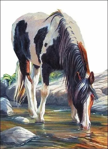 En moyenne, combien de litres d'eau le cheval boit-il par jour ?