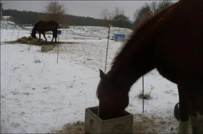 En combien de fois les repas sont-ils gnralement fractionns ?