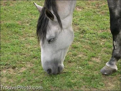 En fonction de quoi mesure-t-on la portion d'une ration ?