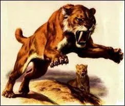 Quel animal est-ce ?