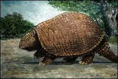 Quel animal est-ce ?