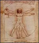 Quel est le nom couramment donn au dessin  la plume, encre et lavis sur papier intitul 'Etude de proportions du corps humain' ?