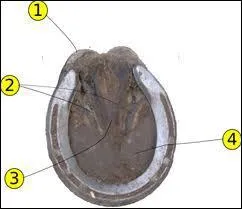 Quel est le nom de la partie 3 ?