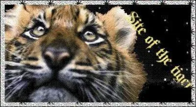 Cette image a t faite en partie par Tigre en srie. Mais quel lment a t rajout par quelqu'un d'autre ?