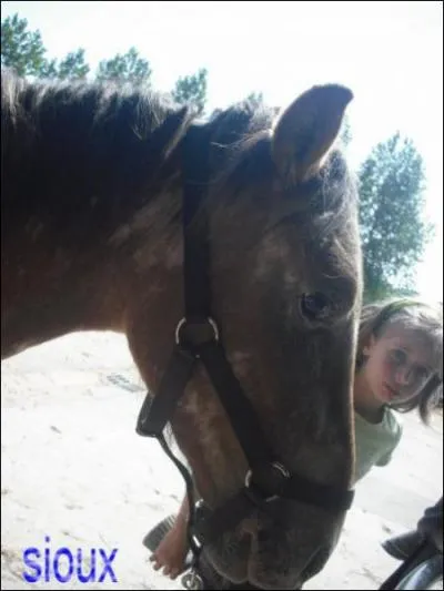 Quelle est la taille d'un double poney ?