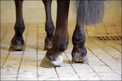 D'aprs la photo, slectionnez la bonne rponse.