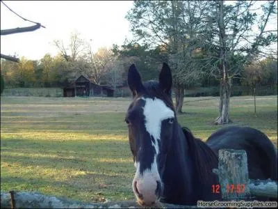 D'aprs la photo, slectionnez la bonne rponse.