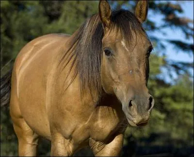 D'aprs la photo, slectionnez la bonne rponse.