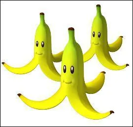 Quel est cet objet ?