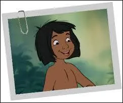 Dans quel dessin anim joue ce personnage ?