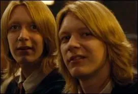 Qui arnaque les jumeaux sur un pari en leur donnant de l'or de farfadet ?