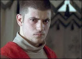 Quelle partie du dragon le sortilge de Viktor Krum (lors du tournoi) touche-t'il ?