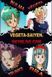 Combien Vegeta a-t-il de fils ?