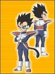 Comment s'appelle le petit frre de Vegeta ?