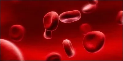 Je circule dans les artères et les veines. Que suis-je ?