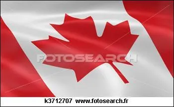 Quel est ce drapeau ?