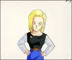 Qui est la femme de Krillin ?