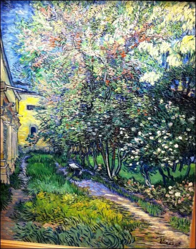 Après un séjour à l'hôpital d'Arles, Il est interné à l'âge de 36 ans à Saint-Paul de Mausole. Où est situé cet asile ?