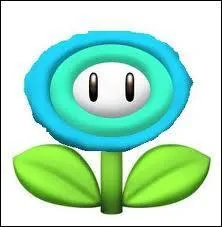 Si Mario prend cette fleur il se transforme en... .