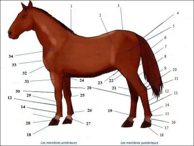 A quoi correspondent les n12 et 14 ?