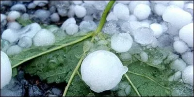 Comment appelle-t-on la pluie lorsqu'elle tombe sous la forme de petits glaçons ?