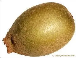 Quel est ce fruit ?