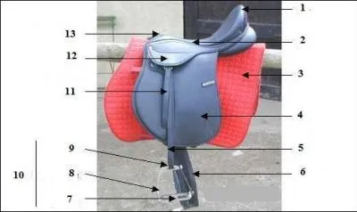 La sangle est le n 11 .
