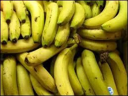 Comment se nomme ce fruit ?