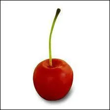 Comment se nomme ce fruit ?