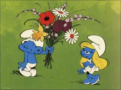 Comment se nomment ces petits tres bleus ?