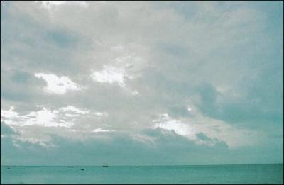 Quel est le nom de ce type de nuages ?