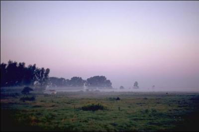 Quel est le nom de ce type de nuages ?