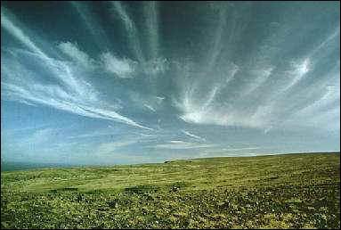 Quel est le nom de ce type de nuages ?
