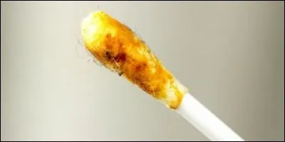 Quel organe produit le cérumen ?