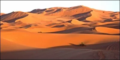 Les dunes n'existent que dans les déserts.