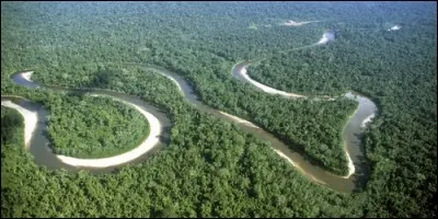 Quelle est la plus grande forêt tropicale de la planète ?