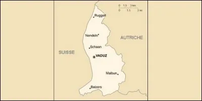 Quel pays, autre que l'Allemagne, a pour unique langue officielle l'allemand ?