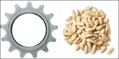 Je suis un élément d'un engrenage, et je suis aussi la graine du pin parasol. Que suis-je ?