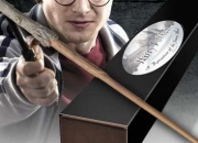 Quiz Harry Potter - Les baguettes
