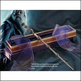 Qui n'a jamais t maitre de la baguette de sureau ?