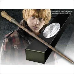 Celui de la 2e baguette de Ron :