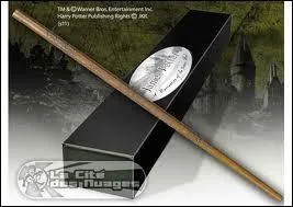 Quelle est la taille de la baguette de James Potter ?